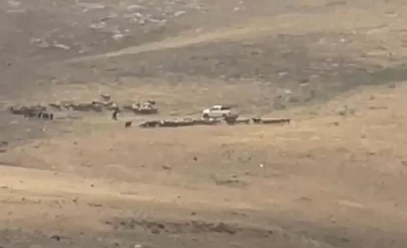 مستوطنون يُلاحقون رعاة الأغنام شرق القدس