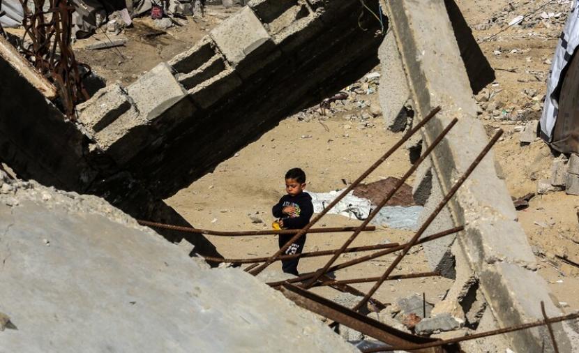 الصحة العالمية: 17 ألف إصابة في غزة من القوارض