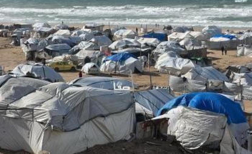 "أونروا": أهالي غزة يُواجهون مخاطر متزايدة ويجب إدخال المبيدات والأدوية
