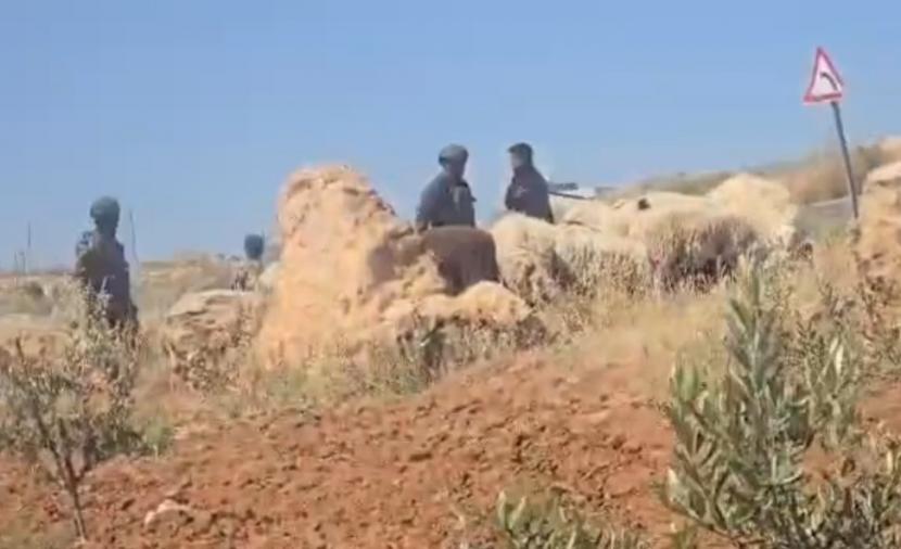 الاحتلال يطرد رعاة الأغنام من أراضيهم بمسافر يطا بالخليل