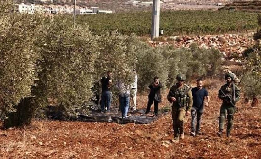 مستوطنون يُهاجمون مزارعين شمال سلفيت ويُحطمون مركبة