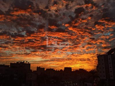 915a877e-5a41-4bea-a710-ae2dc8e81c93