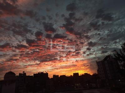 0968b9f1-dde3-4cde-8873-0174ffa8589e