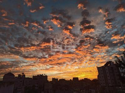 48d88798-1499-4f9c-945b-f169b77a8fc0