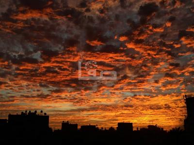 f7ed35ff-da9a-4abd-a3ad-c6a4565ed3aa