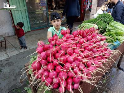 WhatsApp Image 2022-04-04 at 1.33.50 PM