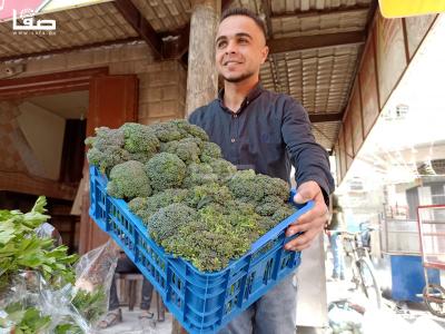 WhatsApp Image 2022-04-04 at 1.33.53 PM