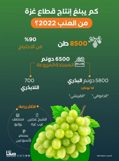 079995b9-ceaa-4a2b-aa8d-f64e78c04882