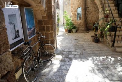 140722_JAFFA_WN_00 (11)