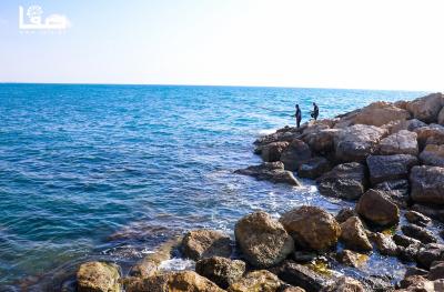 140722_JAFFA_WN_00 (24)