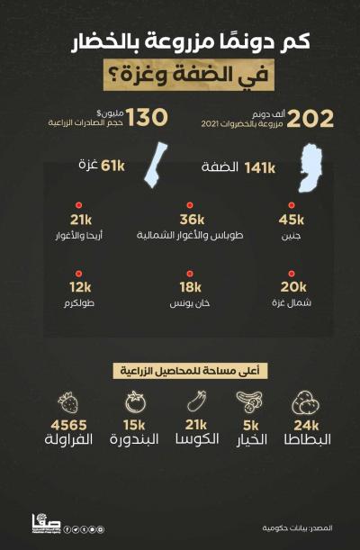 كم دونمًا مزروعة بالخضار في الضفة وغزة؟
