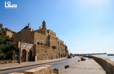 140722_JAFFA_WN_00 (20)