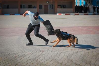 فف.jpeg