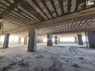 WhatsApp Image 2023-03-30 at 1.22.27 PM