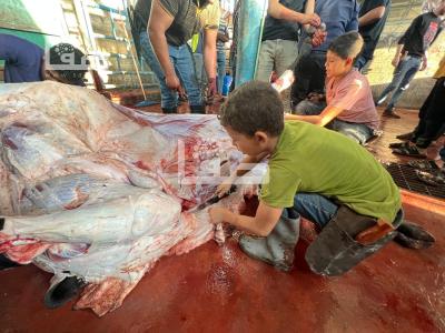 WhatsApp Image 2023-06-28 at 07.31.14