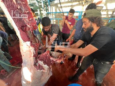 WhatsApp Image 2023-06-28 at 07.31.20