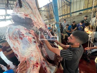 WhatsApp Image 2023-06-28 at 07.31.24