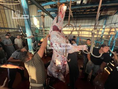 WhatsApp Image 2023-06-28 at 07.31.34