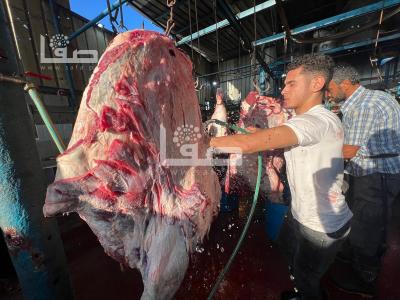 WhatsApp Image 2023-06-28 at 07.31.11