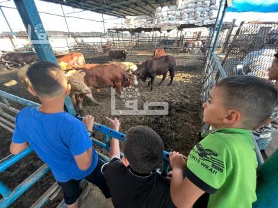 WhatsApp Image 2023-06-28 at 07.31.30