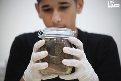 230723_GAZA_OSH_00 (18)