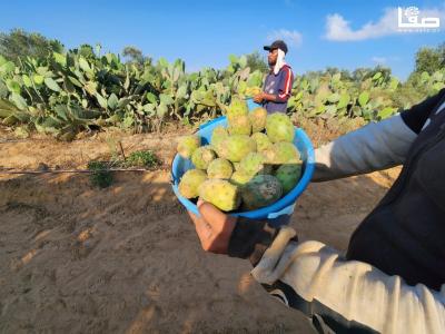 WhatsApp Image 2023-07-11 at 10.10.11 AM (1)