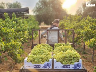 WhatsApp Image 2023-07-11 at 9.31.49 AM