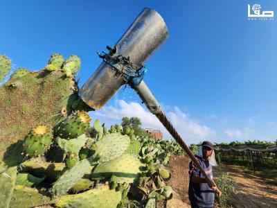 WhatsApp Image 2023-07-11 at 10.10.12 AM (1)