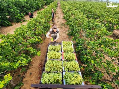 WhatsApp Image 2023-07-11 at 9.31.49 AM (2)