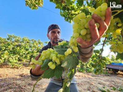 WhatsApp Image 2023-07-11 at 9.31.46 AM (2)