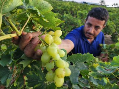 WhatsApp Image 2023-07-11 at 9.31.47 AM (2)