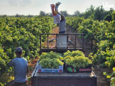 3a7eaebf-c2e2-4bad-9755-20c62fc7b7f3