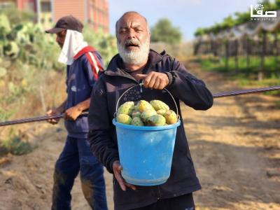 WhatsApp Image 2023-07-11 at 10.10.13 AM