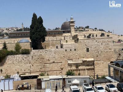 WhatsApp Image 2023-07-06 at 12.00.55 PM