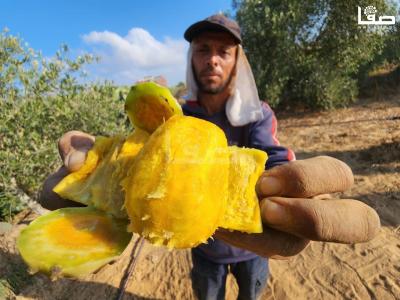 WhatsApp Image 2023-07-11 at 10.10.13 AM (2)