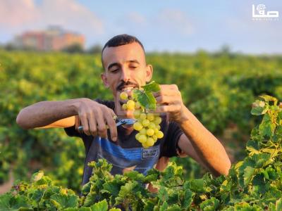 WhatsApp Image 2023-07-11 at 9.31.49 AM (3)