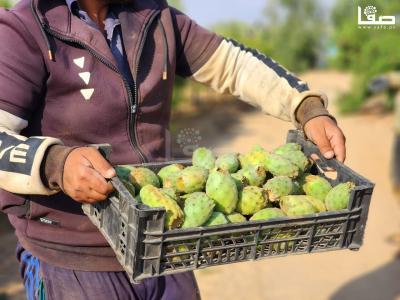 c51c05ac-0f61-4e05-8da9-8e8f79e7b8a8