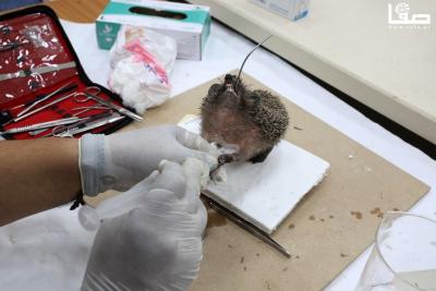 230723_GAZA_OSH_00 (39)