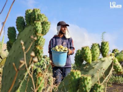 WhatsApp Image 2023-07-11 at 10.10.10 AM (3)