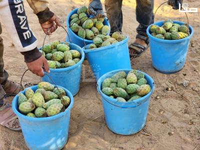 WhatsApp Image 2023-07-11 at 10.10.10 AM