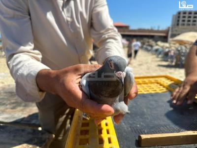 WhatsApp Image 2023-07-22 at 2.32.39 PM (1)