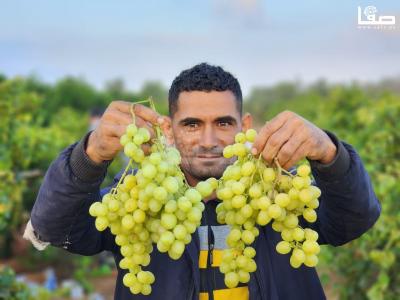 WhatsApp Image 2023-07-11 at 9.31.48 AM