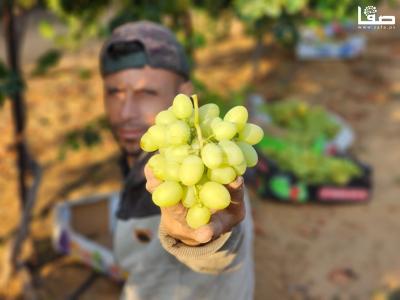 WhatsApp Image 2023-07-11 at 9.31.47 AM (1)