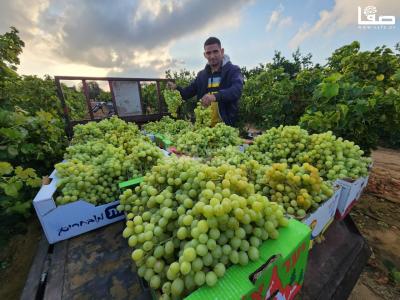 WhatsApp Image 2023-07-11 at 9.31.48 AM (1)