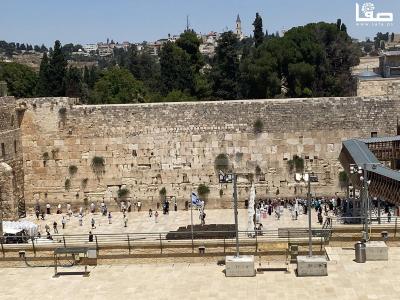 WhatsApp Image 2023-07-06 at 12.00.53 PM