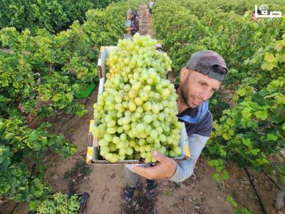 WhatsApp Image 2023-07-11 at 9.31.47 AM (3)