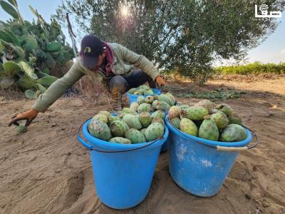 WhatsApp Image 2023-07-11 at 10.10.10 AM (2)