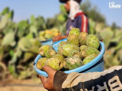 WhatsApp Image 2023-07-11 at 10.10.11 AM