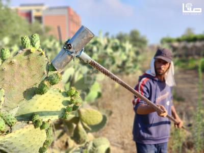 WhatsApp Image 2023-07-11 at 10.10.12 AM (2)