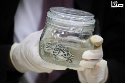 230723_GAZA_OSH_00 (20)